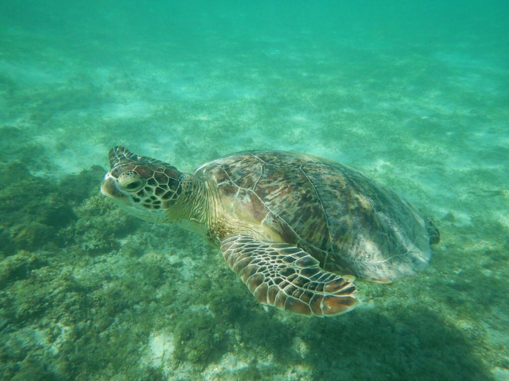 Casa Di Bravo Hotel Miyako-jima Luaran gambar